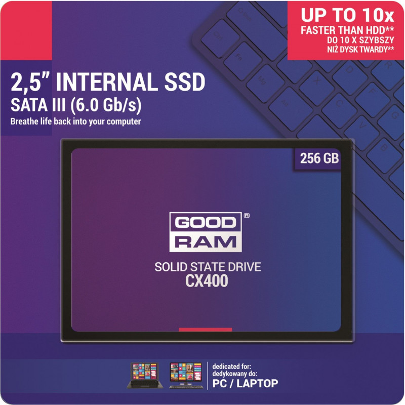 SSD GOOD RAMM  256.jpg