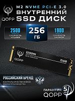 Твёрдотельный накопитель 0256,0 Gb SSD QOPP Q2000MN, PCI-E 3.0, 2500/1900 Мб/с 