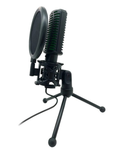 Микрофон RITMIX RDM-126 Pro Black-Green Микрофон RITMIX RDM-126 Pro Black-Green